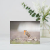 Robin Natuur Photo Briefkaart (Staand voorkant)