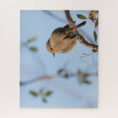 Robin Natuur Photo Legpuzzel (Verticaal)