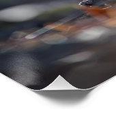 Robin Natuur Photo Perfect Poster (Hoek)