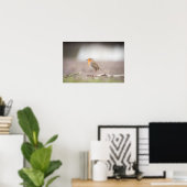 Robin Natuur Photo Poster (Thuiskantoor)