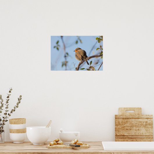 Robin Natuur Photo Poster (Keuken)
