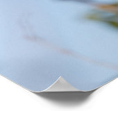 Robin Natuur Photo Poster (Hoek)