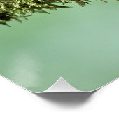 Robin neergestreken op een met mos bedekte boomtak perfect poster (Hoek)