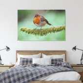 Robin neergestreken op een met mos bedekte tak canvas afdruk (Insitu (Slaapkamer))