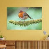 Robin neergestreken op een met mos bedekte tak canvas afdruk (Insitu (Woonkamer))