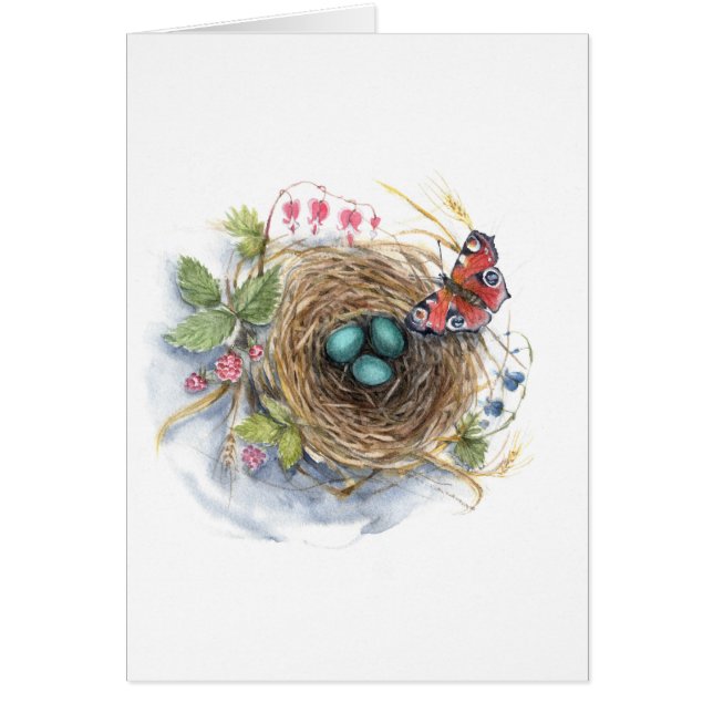 Robin Nest (Voorkant)