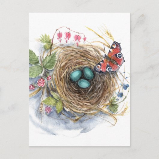 Robin Nest Briefkaart (Voorkant)