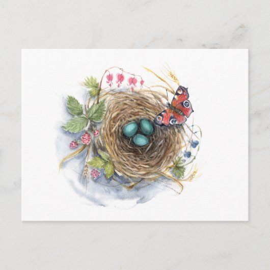 Robin Nest Briefkaart (Voorkant)