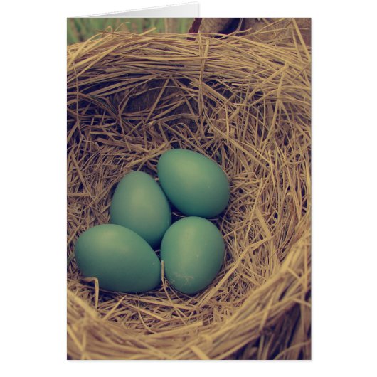 Robin Nest en Eggs (Voorkant)