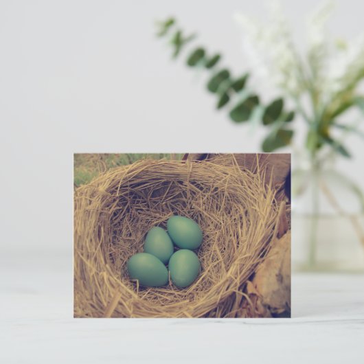 Robin Nest en Eggs Briefkaart (Staand voorkant)