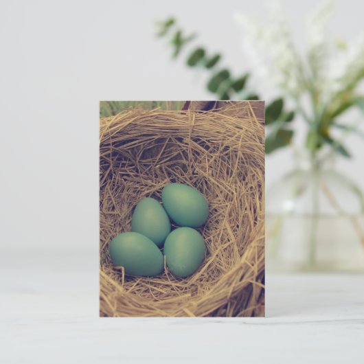 Robin Nest en Eggs Briefkaart (Staand voorkant)