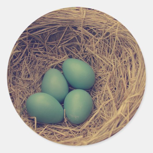 Robin Nest en Eggs Ronde Sticker (Voorkant)