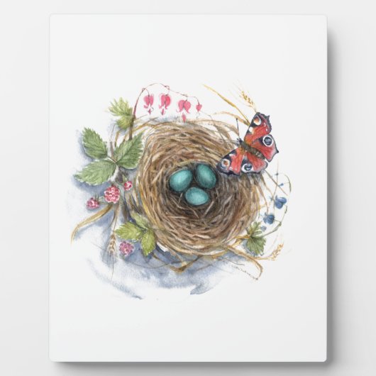 Robin Nest Fotoplaat (Voorkant)