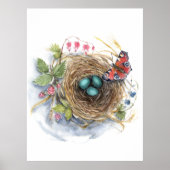 Robin Nest Poster (Voorkant)
