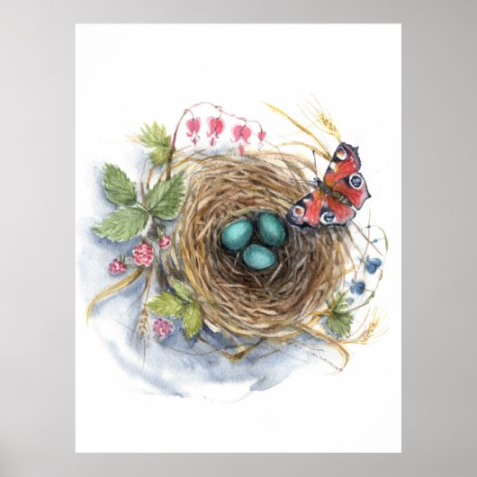 Robin Nest Poster (Voorkant)