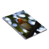 Robin Notitieboek (Rechterzijde)