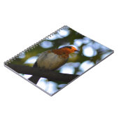 Robin Notitieboek (Linkerzijde)