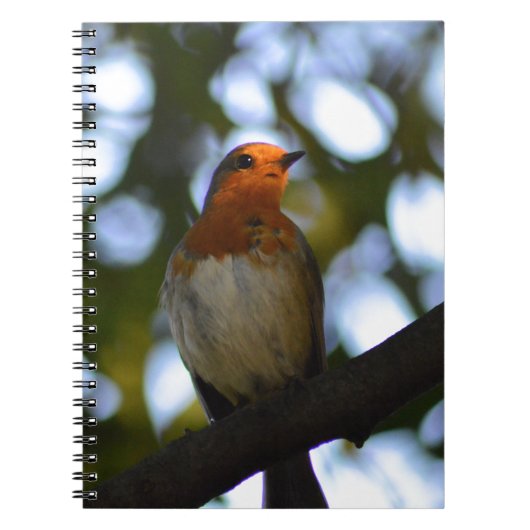 Robin Notitieboek (Voorkant)