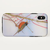 Robin of Beauty Vogelfotografie Case-Mate iPhone Case (Achterkant (horizontaal))