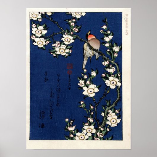 Robin On A Branch of Cherry Blossom door K. Hokusi Poster (Voorkant)