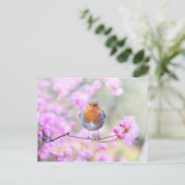Robin on Branch Briefkaart (Staand voorkant)