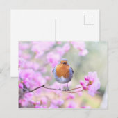 Robin on Branch Briefkaart (Voorkant / Achterkant)
