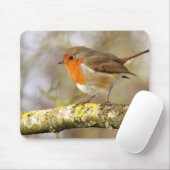 Robin on Branch Muismat (Met muis)