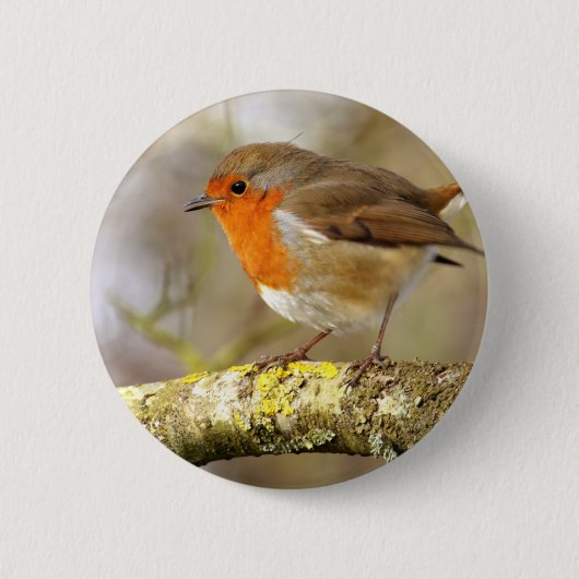Robin on Branch Ronde Button 5,7 Cm (Voorkant)
