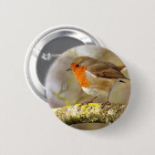 Robin on Branch Ronde Button 5,7 Cm (Voorkant /achterkant)
