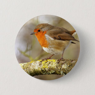 Robin on Branch Ronde Button 5,7 Cm