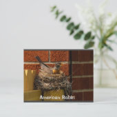 Robin on Nest Briefkaart (Staand voorkant)