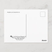 Robin on Nest Briefkaart (Achterkant)