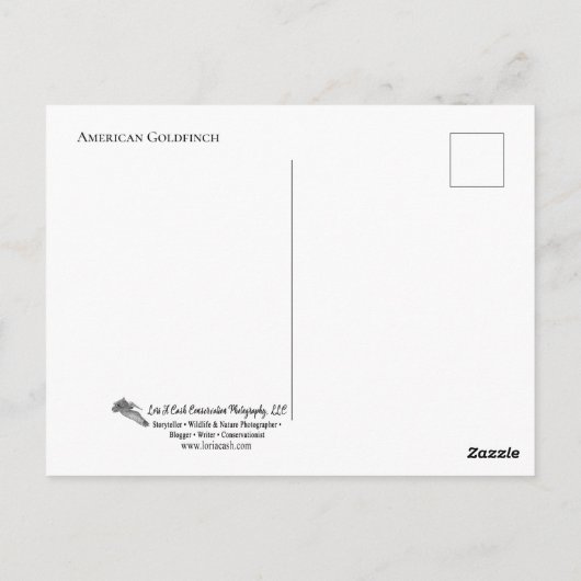 Robin on Nest Briefkaart (Achterkant)