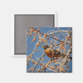 Robin Onder Berries Magneet (Voorkant / Achterkant)