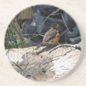 Robin onderzetter (Voorkant)