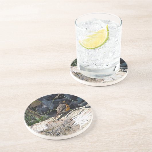 Robin onderzetter (Zijkant)