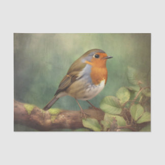 ROBIN-ontkoppelingsdocument Tissuepapier