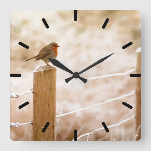 Robin op de Fence Post Clock Vierkante Klok (Voorkant)