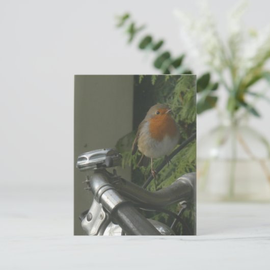 Robin op de fiets Close Up DIY Briefkaart (Staand voorkant)