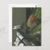 Robin op de fiets Close Up DIY Briefkaart (Voorkant / Achterkant)