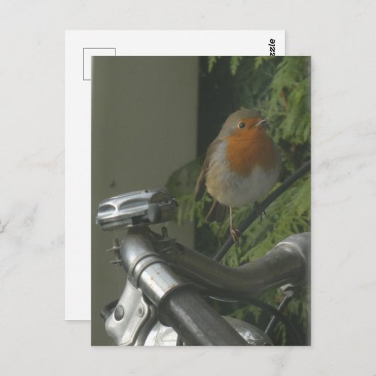 Robin op de fiets Close Up DIY Briefkaart (Voorkant / Achterkant)