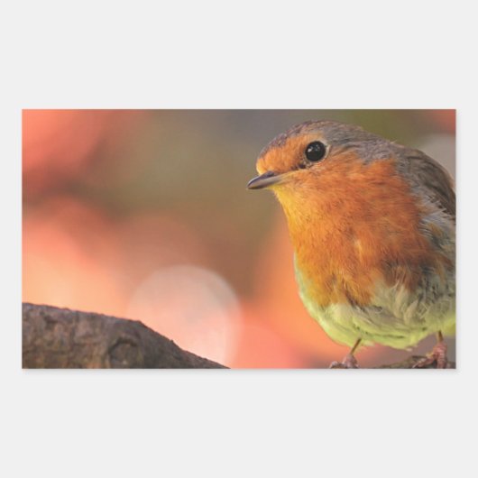 Robin op een filiaal rechthoekige sticker (Voorkant)