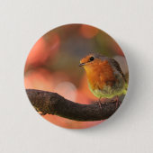 Robin op een filiaal ronde button 5,7 cm (Voorkant)