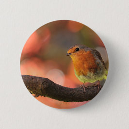 Robin op een filiaal ronde button 5,7 cm