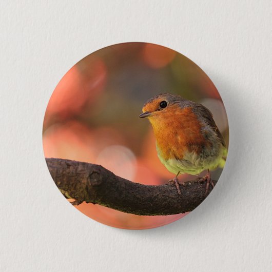 Robin op een filiaal ronde button 5,7 cm (Voorkant)