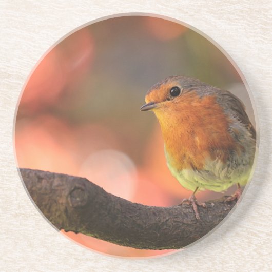 Robin op een filiaal zandsteen onderzetter (Voorkant)