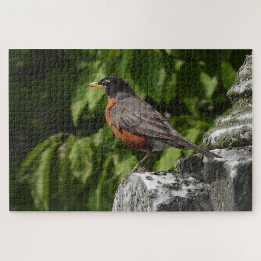Robin op een hoofdsteen legpuzzel (Horizontaal)