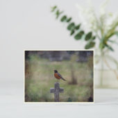 Robin op een kruis briefkaart (Staand voorkant)