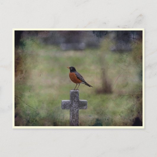 Robin op een kruis briefkaart (Voorkant)