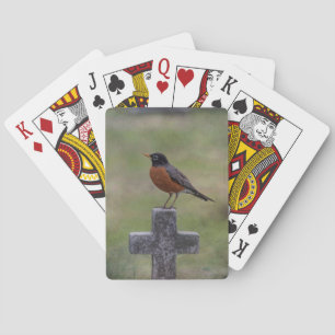 Robin op een kruis speelkaarten